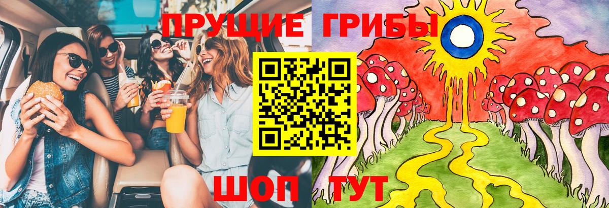 Галлюциногенные грибы Cubensis  Вход с VPN  Лениногорск 
